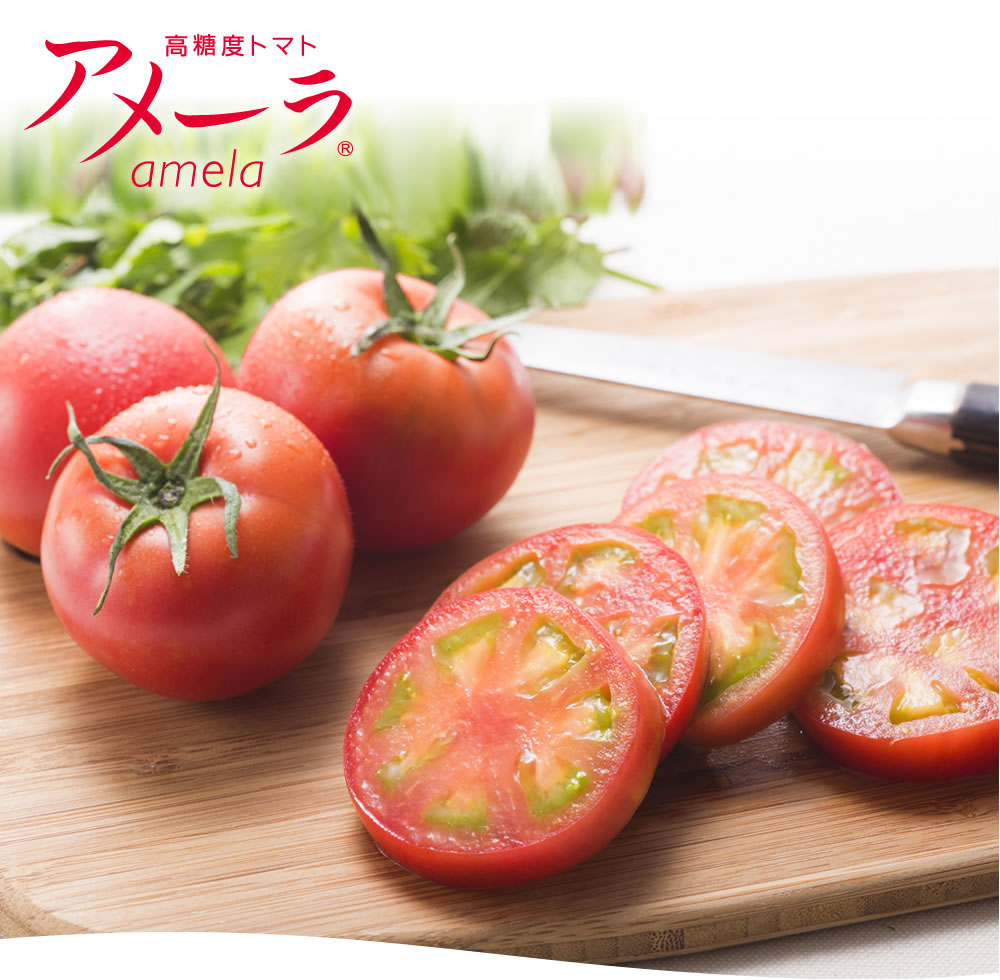 高糖度トマト アメーラ amela