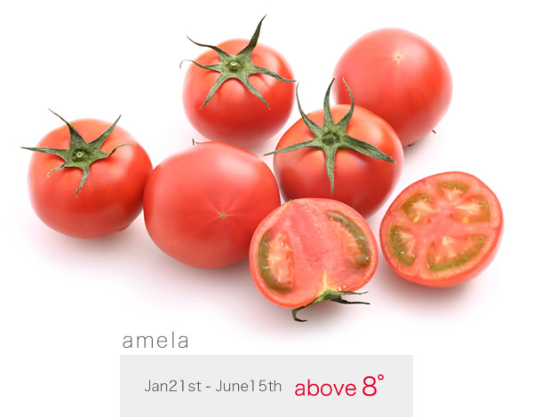 amela : Jan21st - June15th above 8°