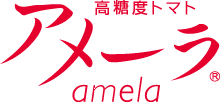 高糖度トマト アメーラ amela