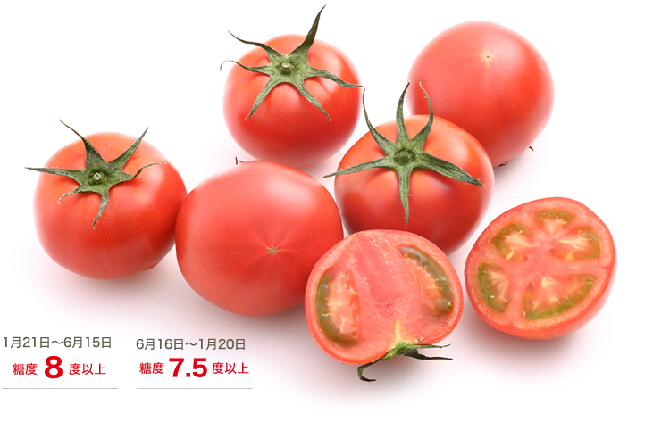 高濃度トマトアメーラ
