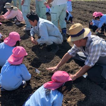 アメーラ食育活動（じゃがいも植え）を実施しました。