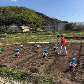 【食育活動】アグリンク食育活動報告