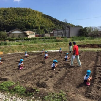 食育活動／大根の種まきを実施しました！