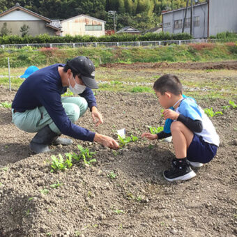 食育活動／大根の間引きを実施しました！