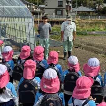 食育活動/ジャガイモの植え付け