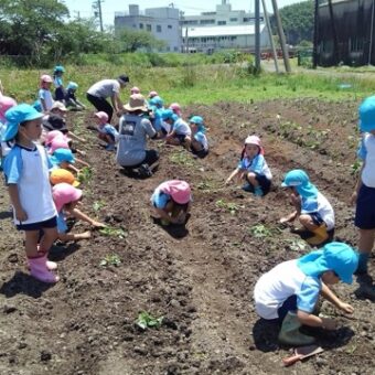 食育活動／2025年の活動